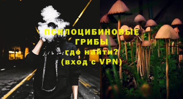 хмурый Аркадак